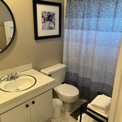 apartment bathroom with blue shower curtain and decorative art above toilet, with white folded towels nearby